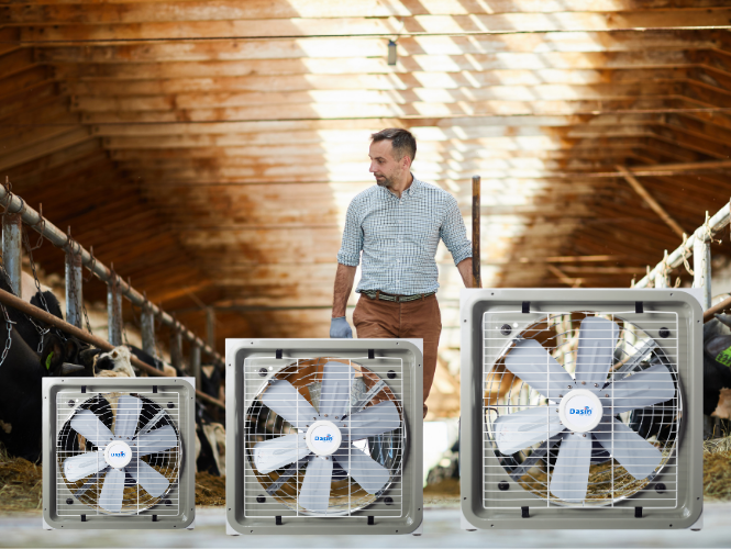 quạt công nghiệp 3 pha