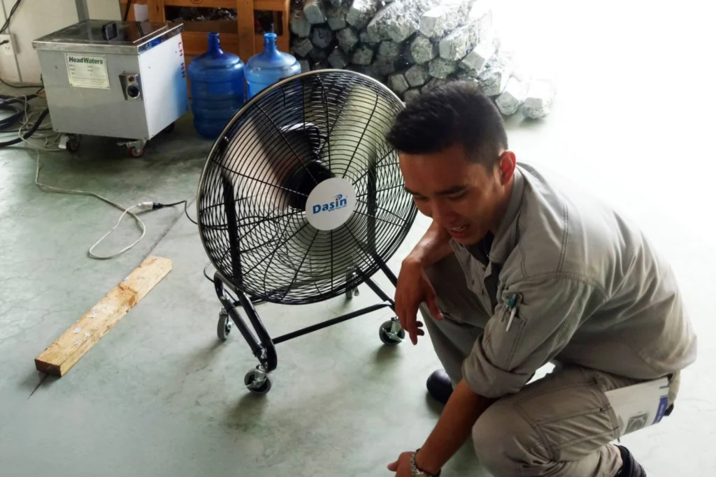 quạt xe đẩy Dasin