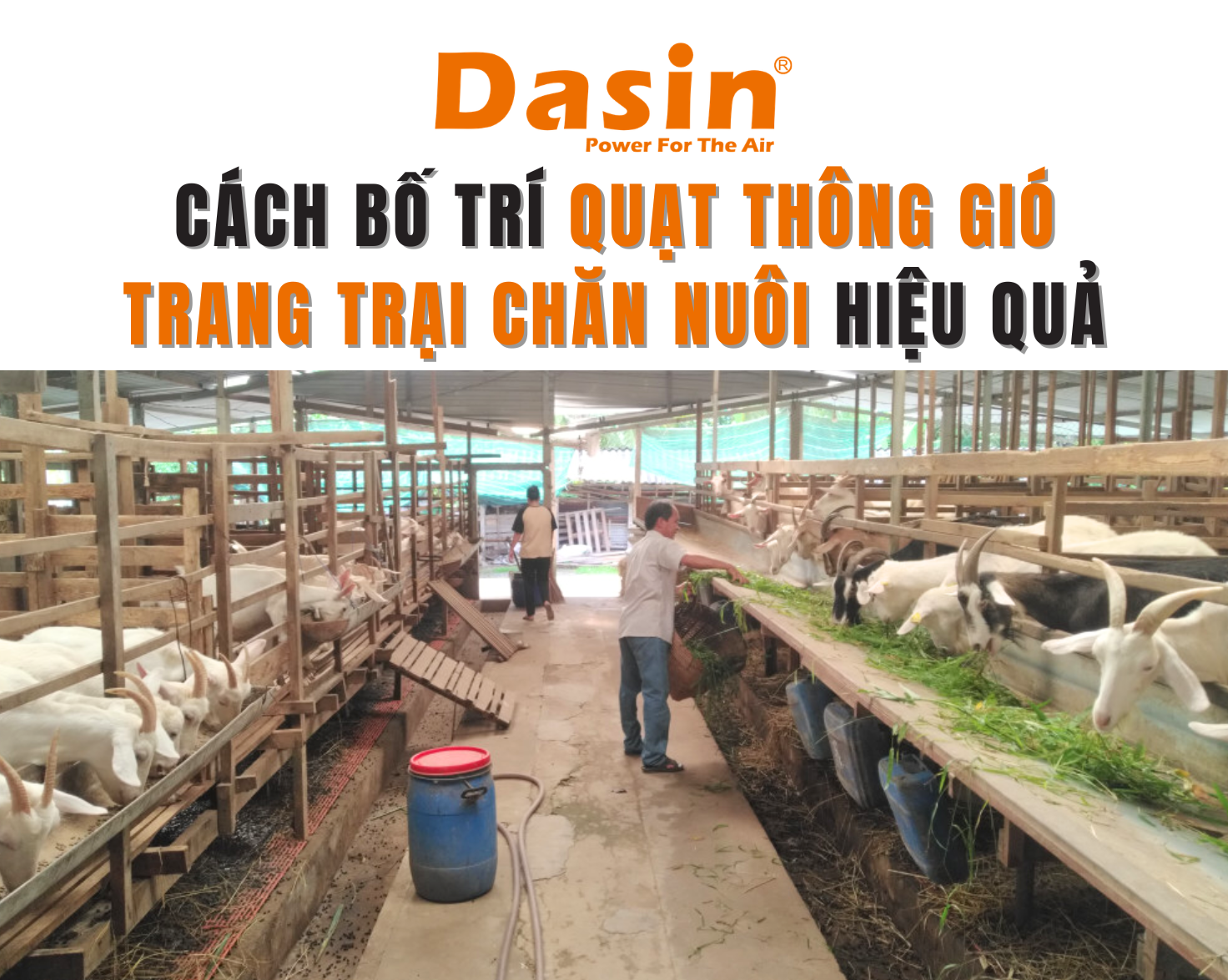 quạt-thông-gió-dasin