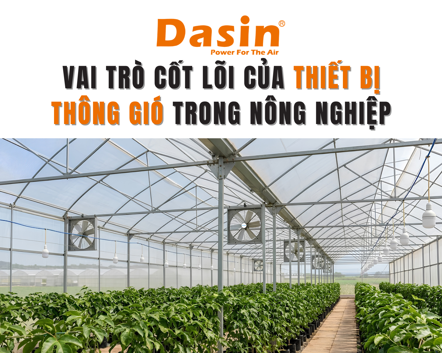 thiết bị thông gió nông nghiệp
