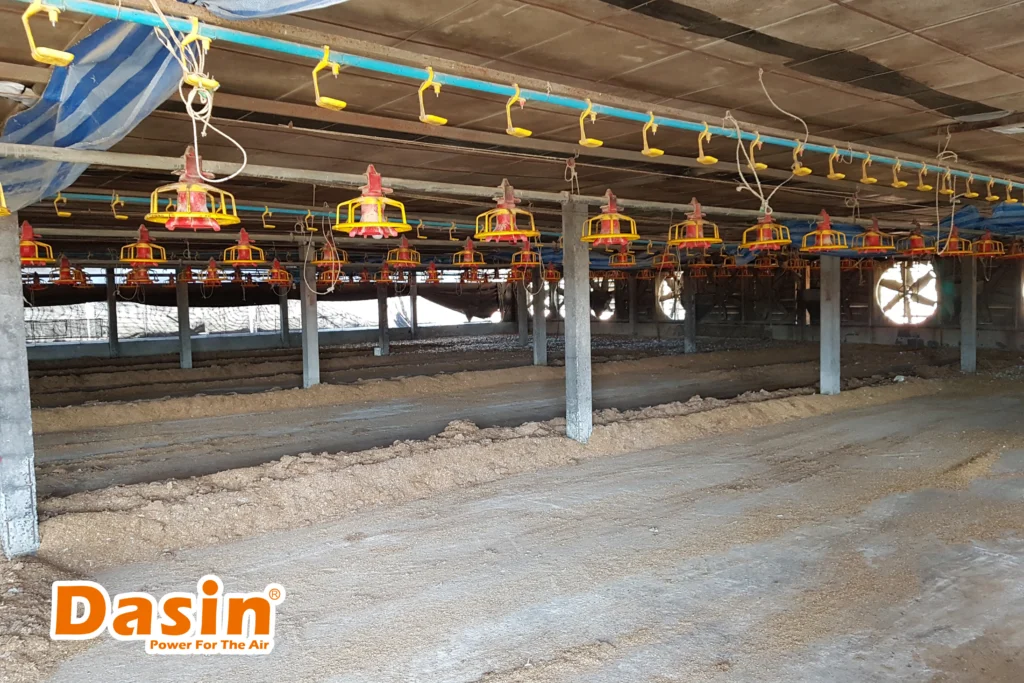quạt trang trại gia cầm đến từ dasin