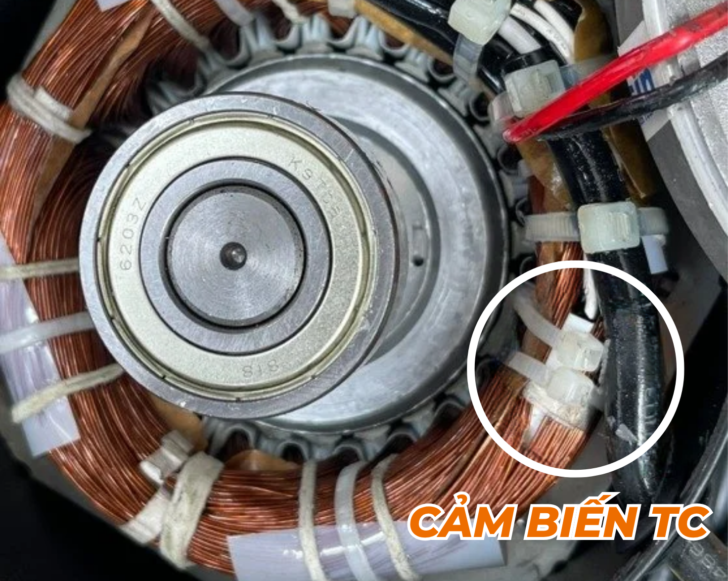 cảm biến tc dasin